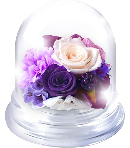 Amazon.co.jp: ときメモGS3 桜井琉夏 ホワイトデー プリザーブド